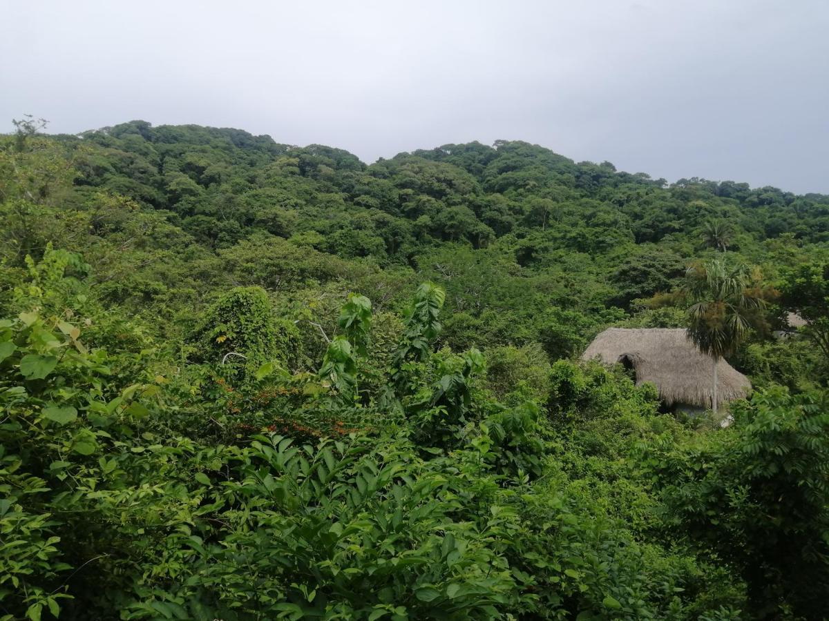 Hostal Zirumake Dentro Del Parque Tayrona El Zaino Exterior photo